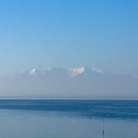 Paradis Bleu Vue Mer, Direct