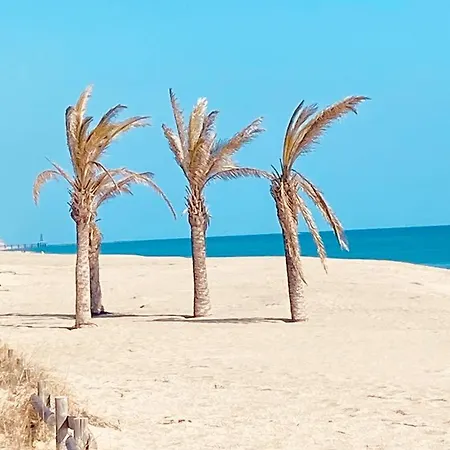 Paradis Bleu Vue Mer, Direct *